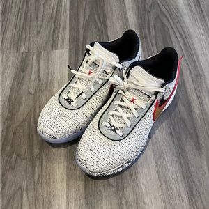 Nike Lebron XX The Debut 🪩